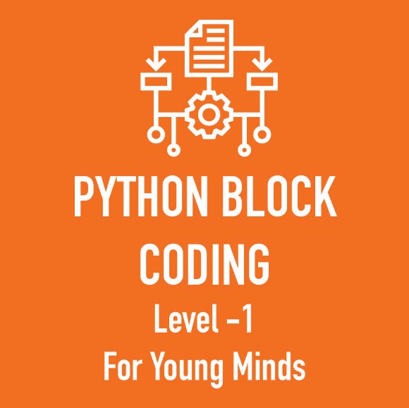 Python Coding Online Course