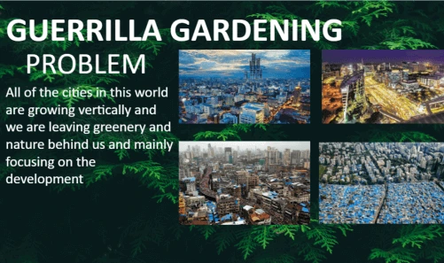 Guerrilla Gardening Problem